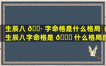 生辰八 🕷 字命格是什么格局（生辰八字命格是 🐞 什么格局的）